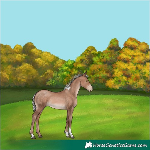 Horse Color:Silver Brown Pearl Mushroom Tobiano 