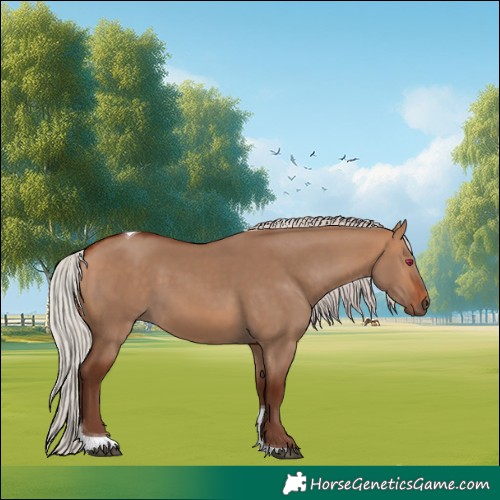 Horse Color:Silver Bay Dun Tobiano Rabicano