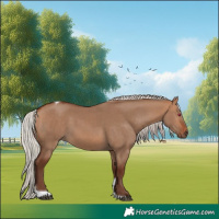 Horse Color:Silver Bay Dun Tobiano Rabicano