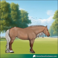 Horse Color:Silver Bay Dun Tobiano Rabicano 