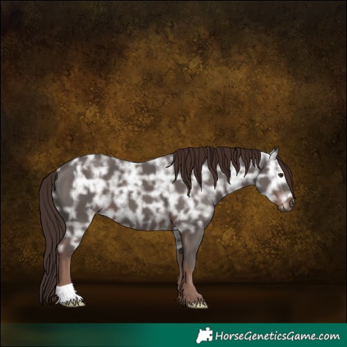 Horse Color:Liver Chestnut Ice 