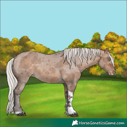 Horse Color:Silver Brown Dun Merle Tobiano Appaloosa 