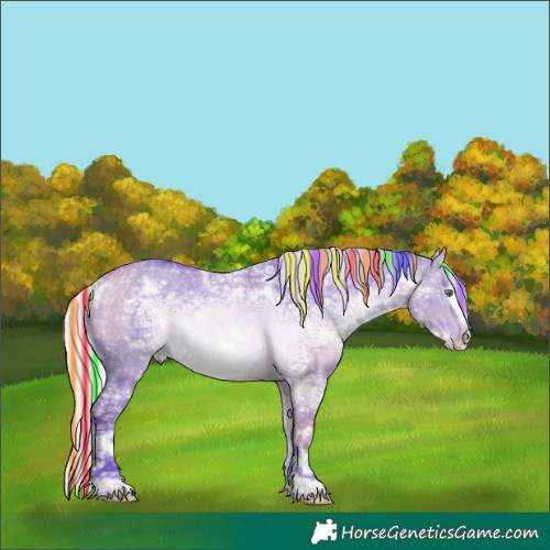 Horse Color:Painted Watercolor White Spotted Silver Brown Chinchilla Ice Dun Frame Rabicano 