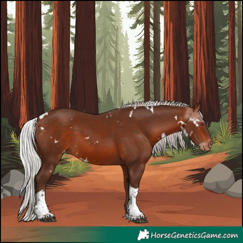Horse Color:White Spotted Silver Bay Tobiano Skewed LP Spotted Rabicano 