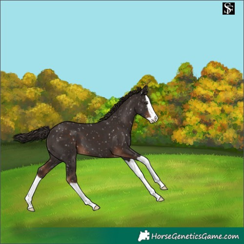 Horse Color:Liver Chestnut Splash Snowflake Varnish 