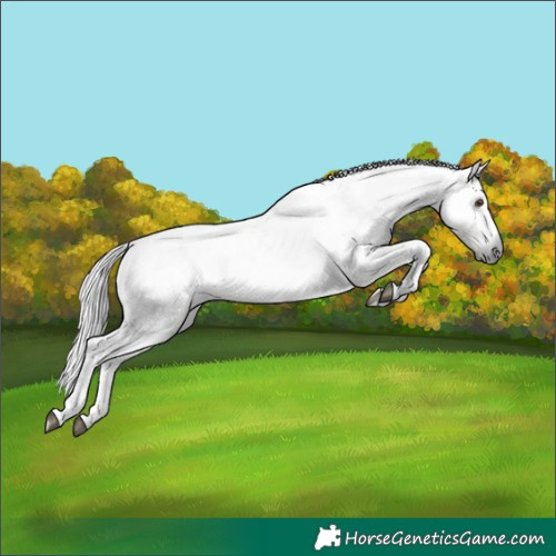 Horse Color:Gray Palomino 