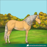 Horse Color:Palomino