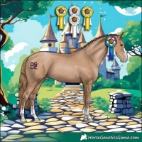 Horse Color:Black Pearl 