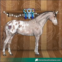 Horse Color:Chestnut Ice Blanket 
