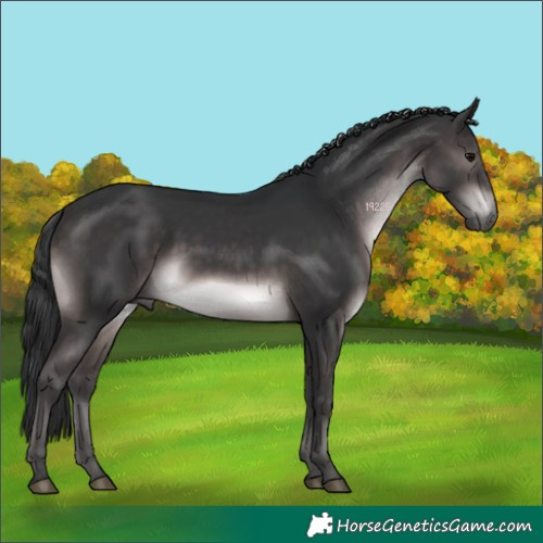 Horse Color:Platinum Brown 