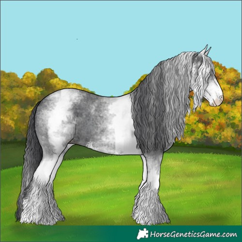 Horse Color:White Spotted Black Sabino