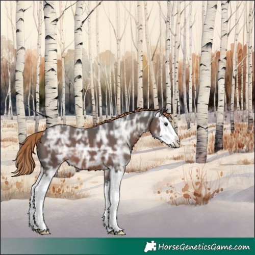 Horse Color:Liver Chestnut Ice Splash 