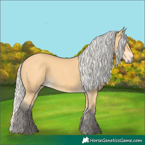 Horse Color:Unknown 