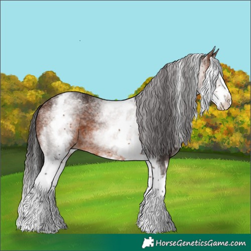 Horse Color:White Spotted Brown Splash