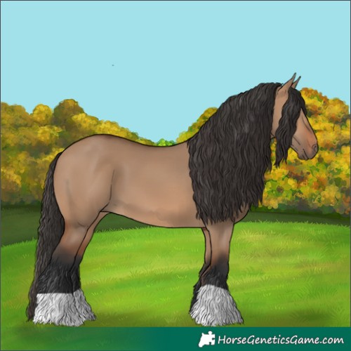 Horse Color:Bay Dun