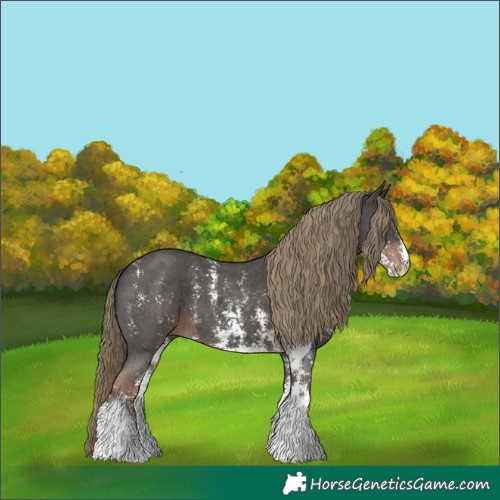 Horse Color:Liver Chestnut Sabino 