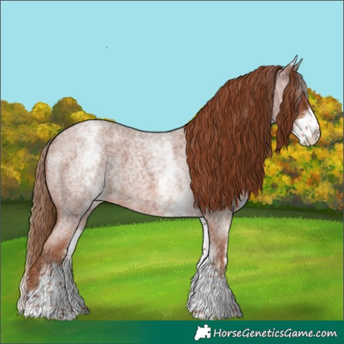 Horse Color:White Spotted Red Roan 