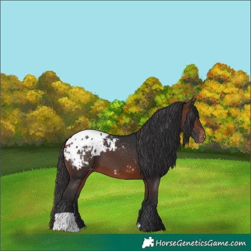 Horse Color:Brown Blanket 