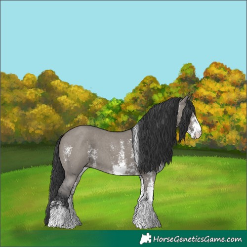 Horse Color:Grullo Sabino 