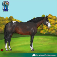Horse Color:Brown Sabino Tobiano