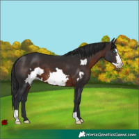 Horse Color:Brown Frame 
