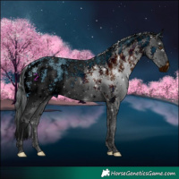 Horse Color:ERROR: UNKNOWN ANOMALY