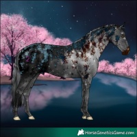 Horse Color:ERROR: UNKNOWN ANOMALY