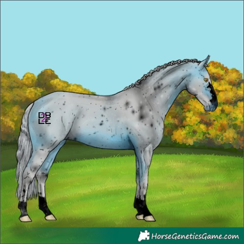 Horse Color:ERROR: UNKNOWN ANOMALY