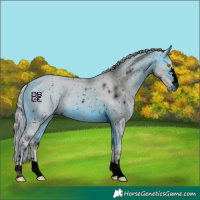 Horse Color:ERROR: UNKNOWN ANOMALY