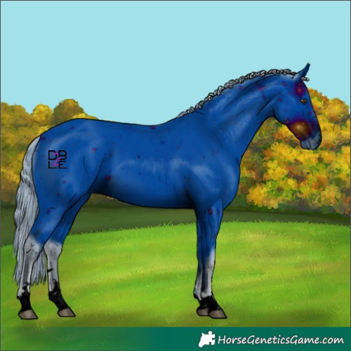 Horse Color:ERROR: UNKNOWN ANOMALY