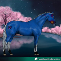 Horse Color:ERROR: UNKNOWN ANOMALY