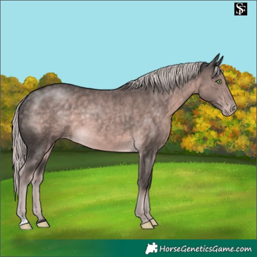 Horse Color:Platinum Chocolate Palomino Varnish 