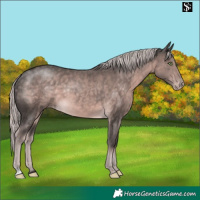 Horse Color:Platinum Chocolate Palomino Varnish 