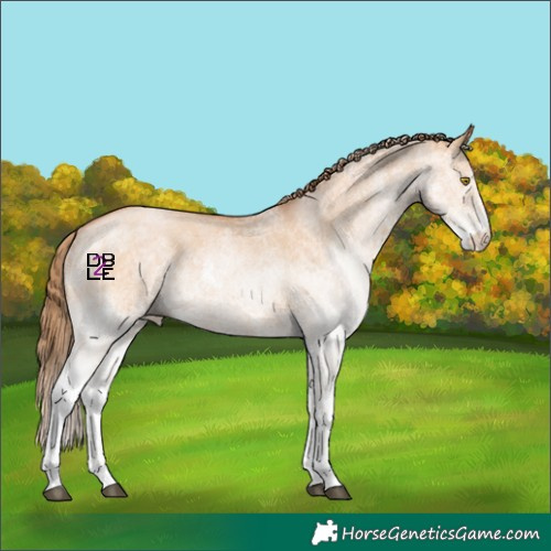 Horse Color:White Spotted Bay Pearl Dun 