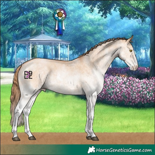 Horse Color:White Spotted Bay Pearl Dun 