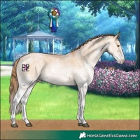 Horse Color:White Spotted Bay Pearl Dun 