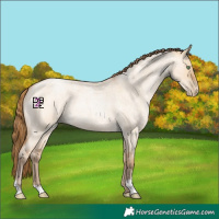 Horse Color:Bay Roan Pearl Dun