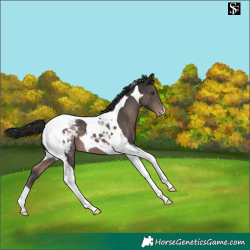 Horse Color:Platinum Liver Chestnut Tobiano Snowcap 