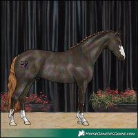 Horse Color:Midnight Red Dun Ice Rabicano