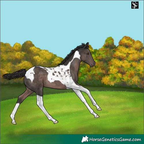 Horse Color:Platinum Liver Chestnut Tobiano 