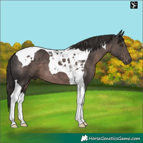 Horse Color:Platinum Liver Chestnut Tobiano 