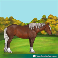 Horse Color:Silver Brown