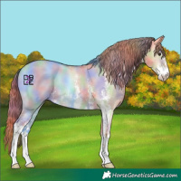 Horse Color:Nacre Red Dun Sabino
