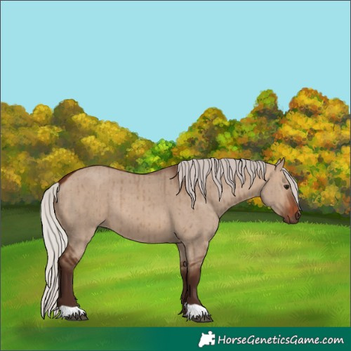 Horse Color:Silver Brown Dun Brindle 