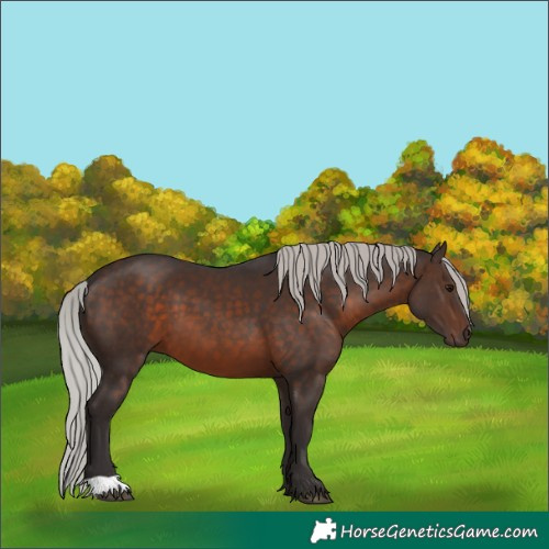 Horse Color:Silver Brown
