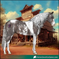 Horse Color:Silver Brown Mushroom Sabino Tobiano 