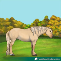 Horse Color:Palomino Dun 