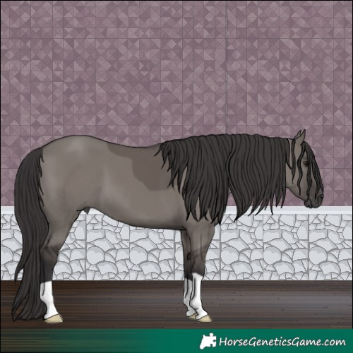 Horse Color:Smoky Grullo 