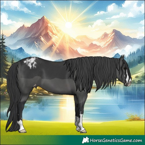 Horse Color:Black Varnish