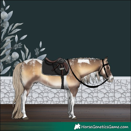 Horse Color:Powder White Chocolate Palomino Onyx Tobiano